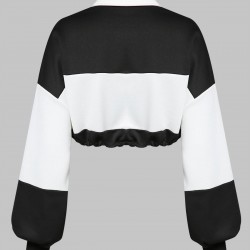 Women's Daily Athleisure Casual Style Two Tone Colorblock Toggle Drawstring Collared Long Sleeve Crop Sweatshirt